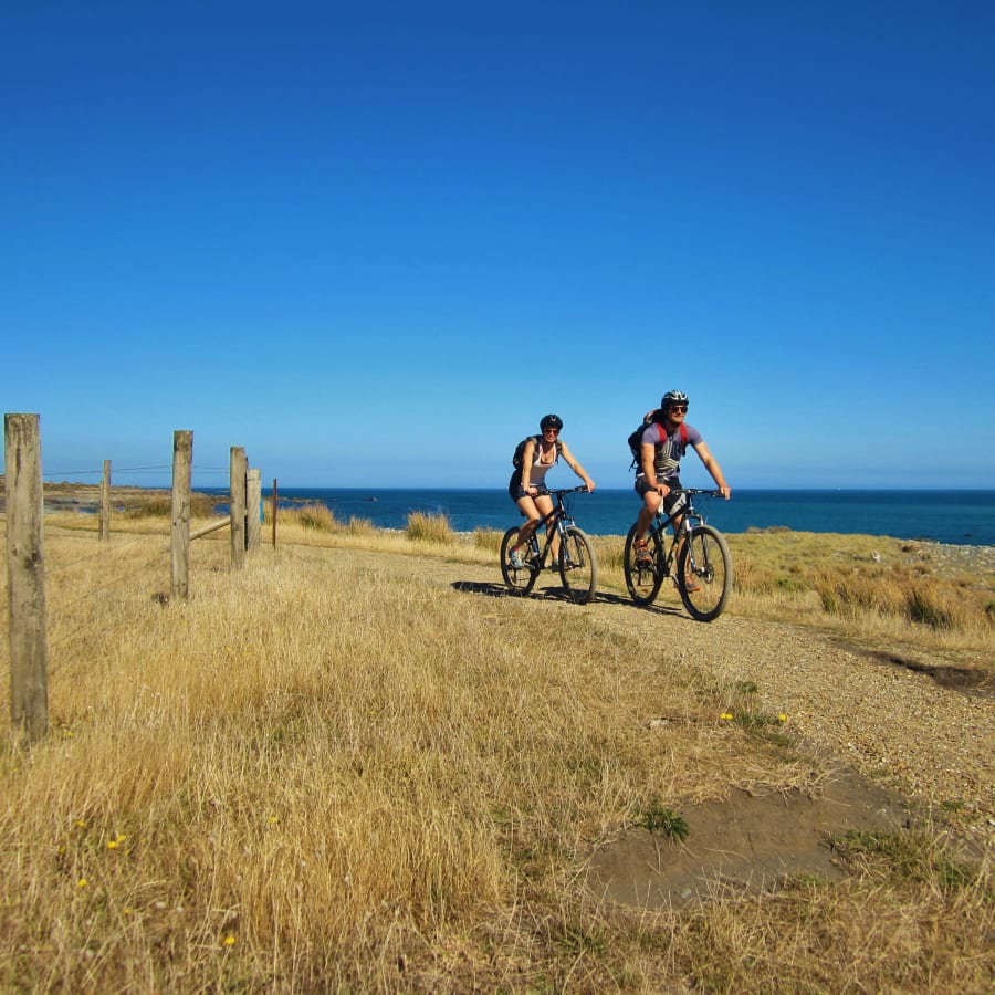3-Day Remutaka Cycle Tour from Welligton