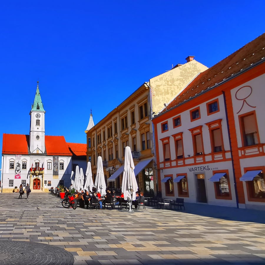 7-Hour Trakošćan Castle and Varaždin Tour with Baroque City Walk