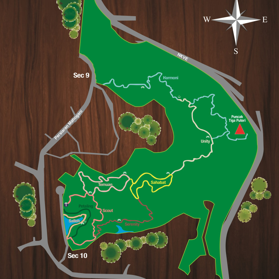 Full-Day Nature Walk in Kota Damansara with Ethnic Borneo Spa