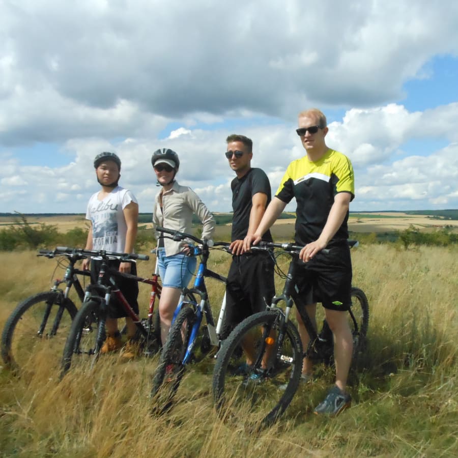 5-Hour Cycling Tour from Timișoara through Ianova and vineyards