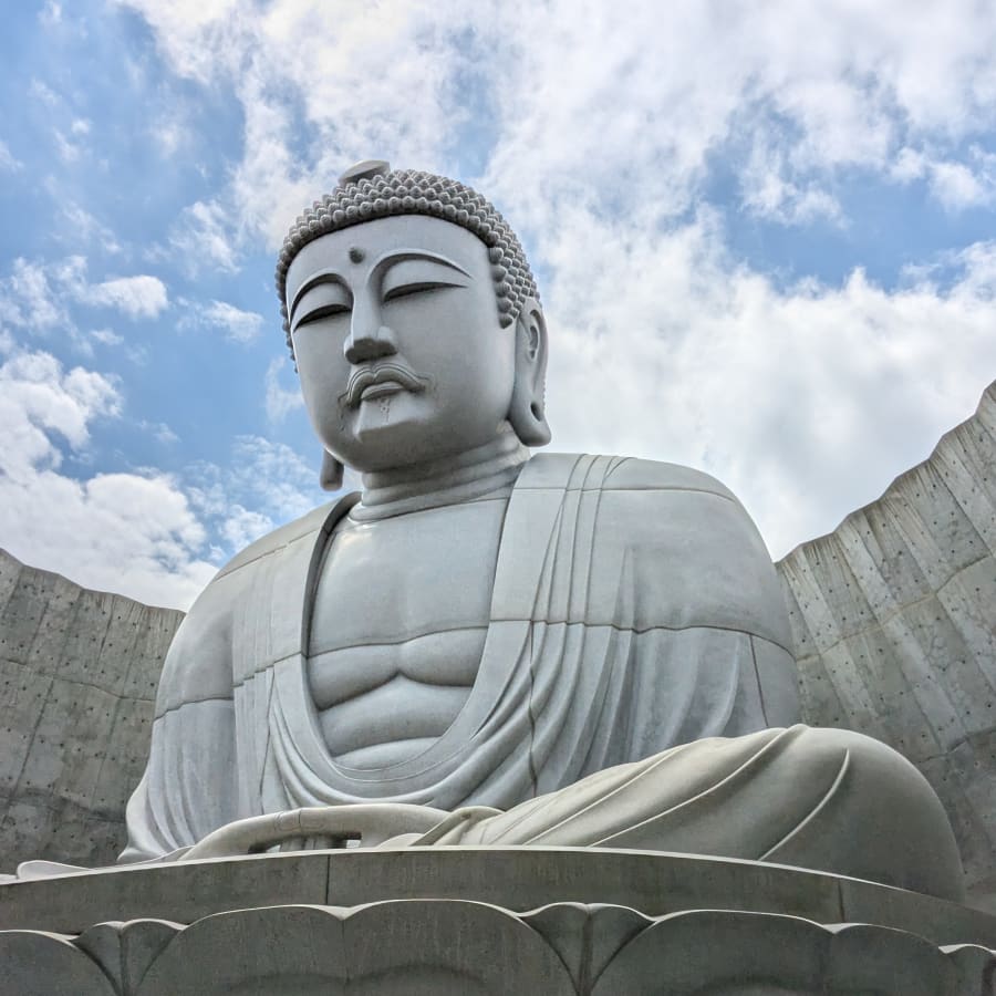 8-Hour Sapporo Hill of the Buddha Tour with JR Tower and Sake Tasting