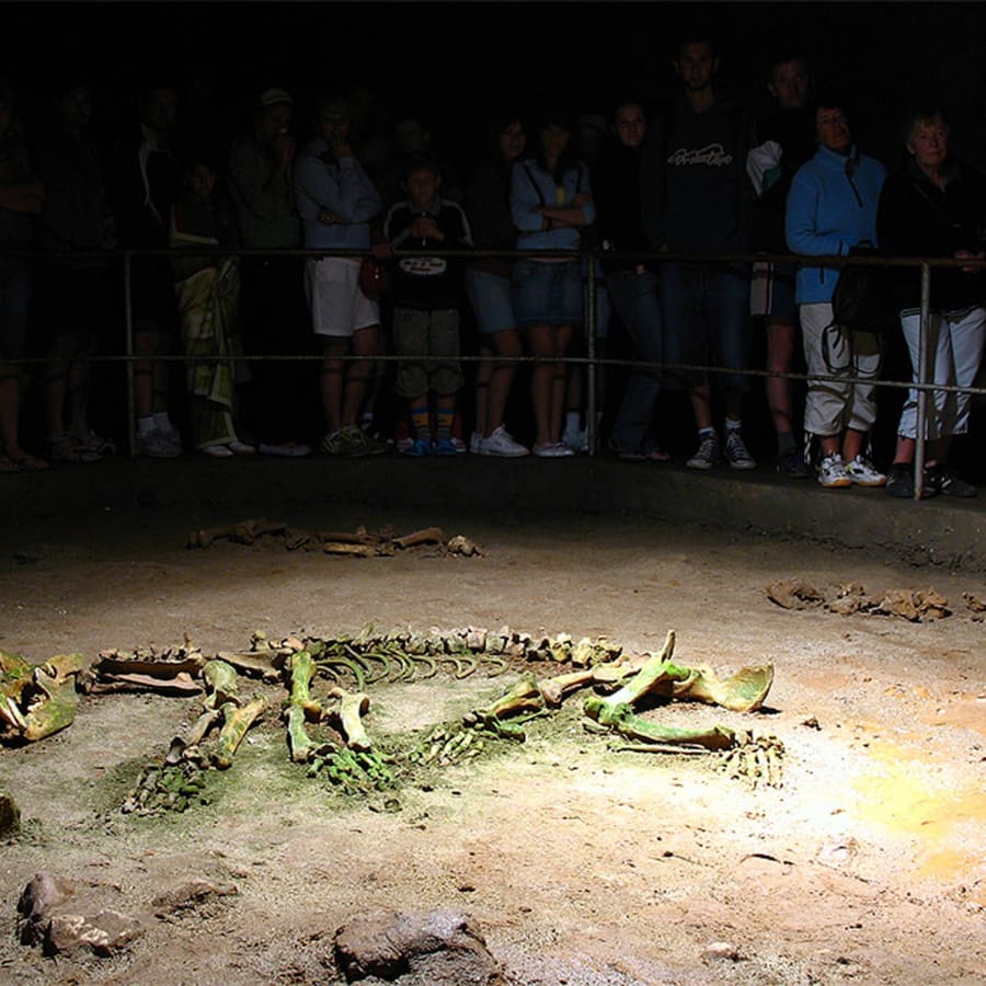 8-Hour Bear's Cave Tour from Oradea with prehistoric fossils