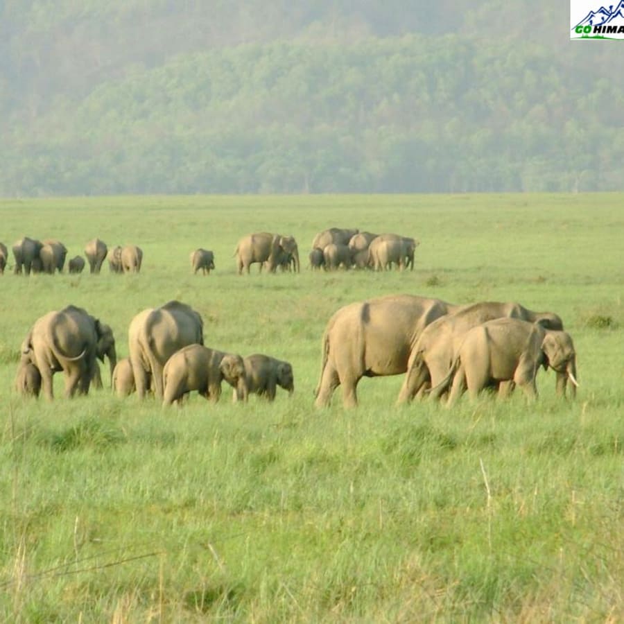 4-Day Nainital and Corbett Safari Tour from Delhi or Dehradun