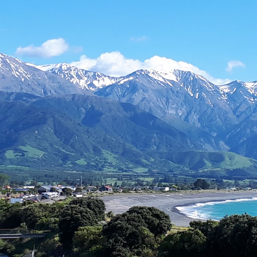2-Day Picton to Christchurch Tour with Kaikoura and Seal Colony