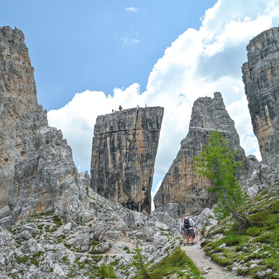 1-Day Dolomites Trekking Tour in Cinque Torri and Mount Nuvolao