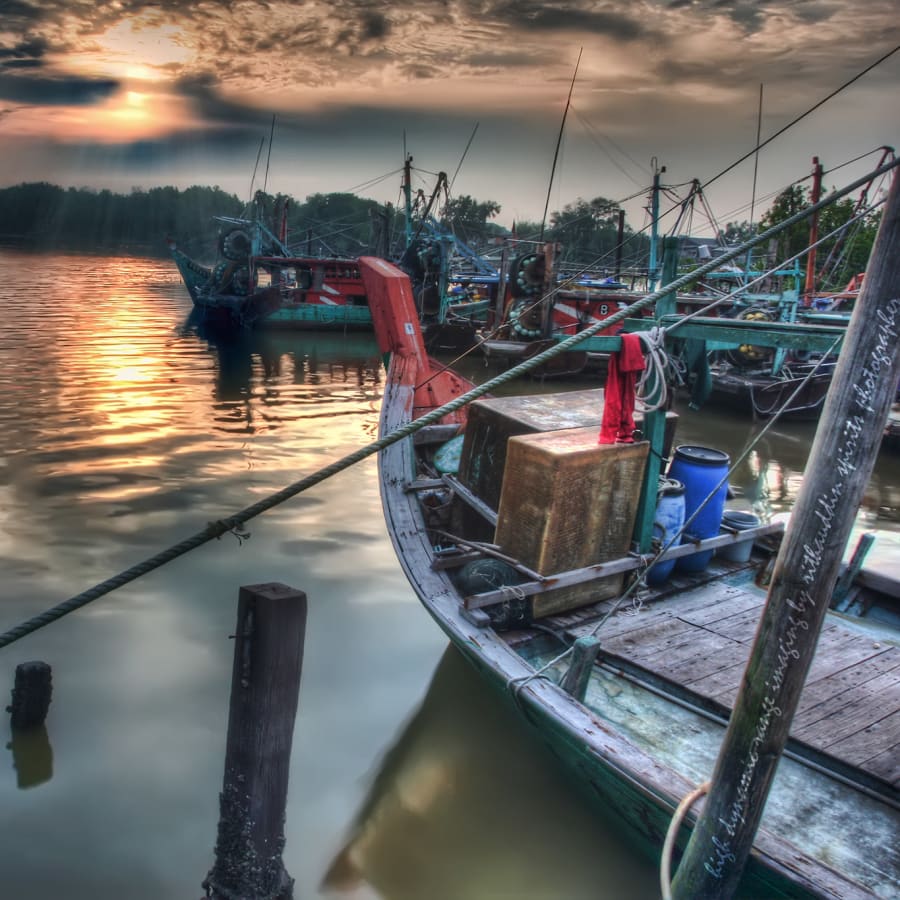 Full-Day Sekinchan and Kuala Selangor Tour with Fireflies Cruise