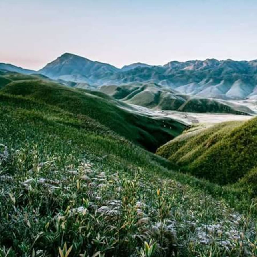 5-Day Dzükou Valley Trek from Kohima or Dimapur with Homestay