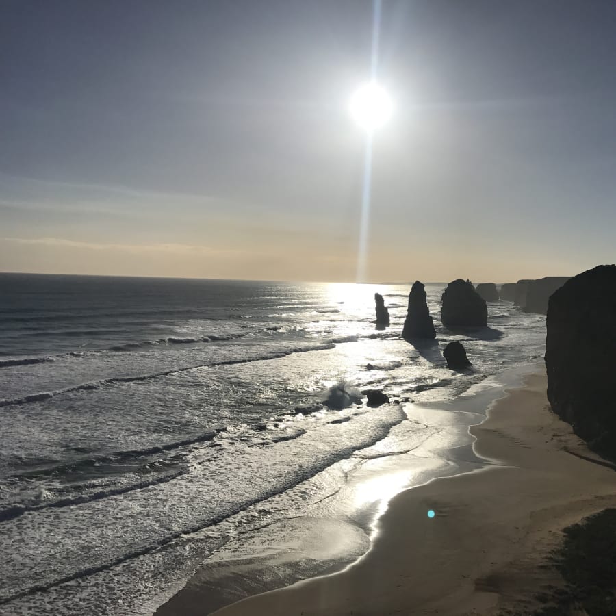 1-Day Great Ocean Road Tour to the 12 Apostles with Wild Koalas