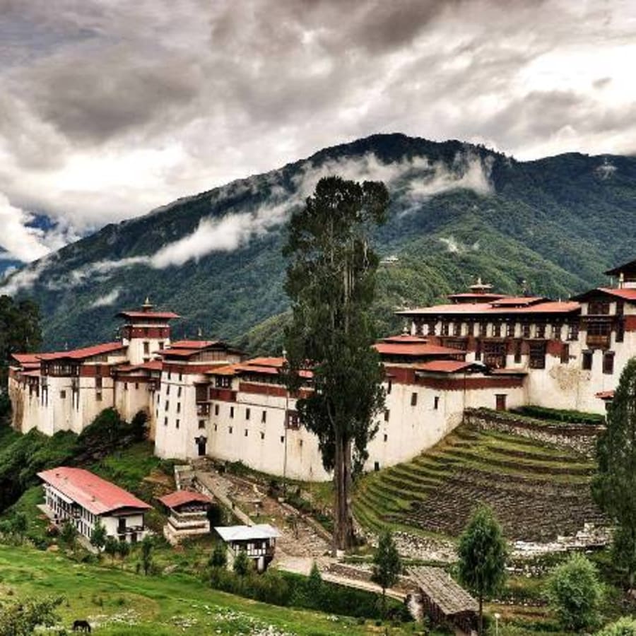 11-Day Bhutan Highlights Tour with Tiger's Nest and Phobjikha Valley