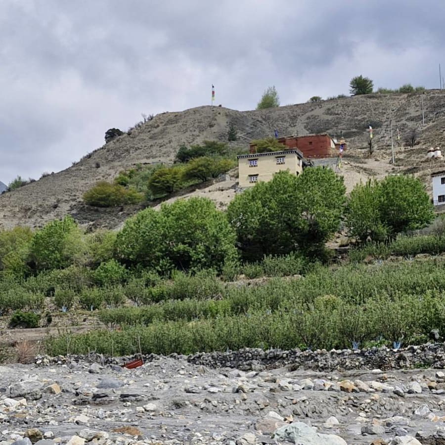 4-Day Jomsom Mustang Tour from Pokhara with Muktinath and Lubra