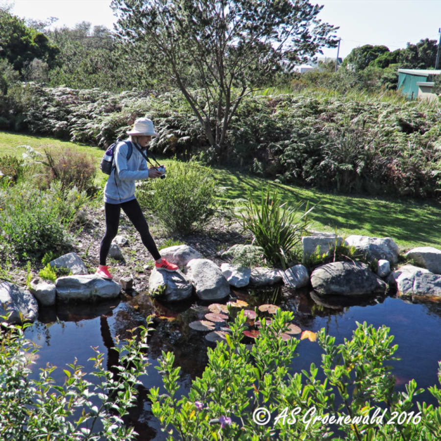 4-Hour Hike in Harold Porter Botanical Gardens to Platberg