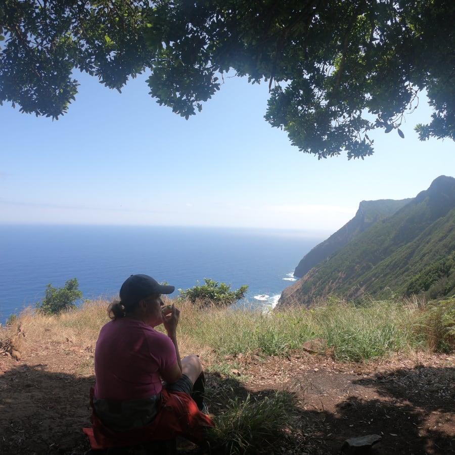 7-Hour Laurel Forest Walk from Funchal through Laurissilva