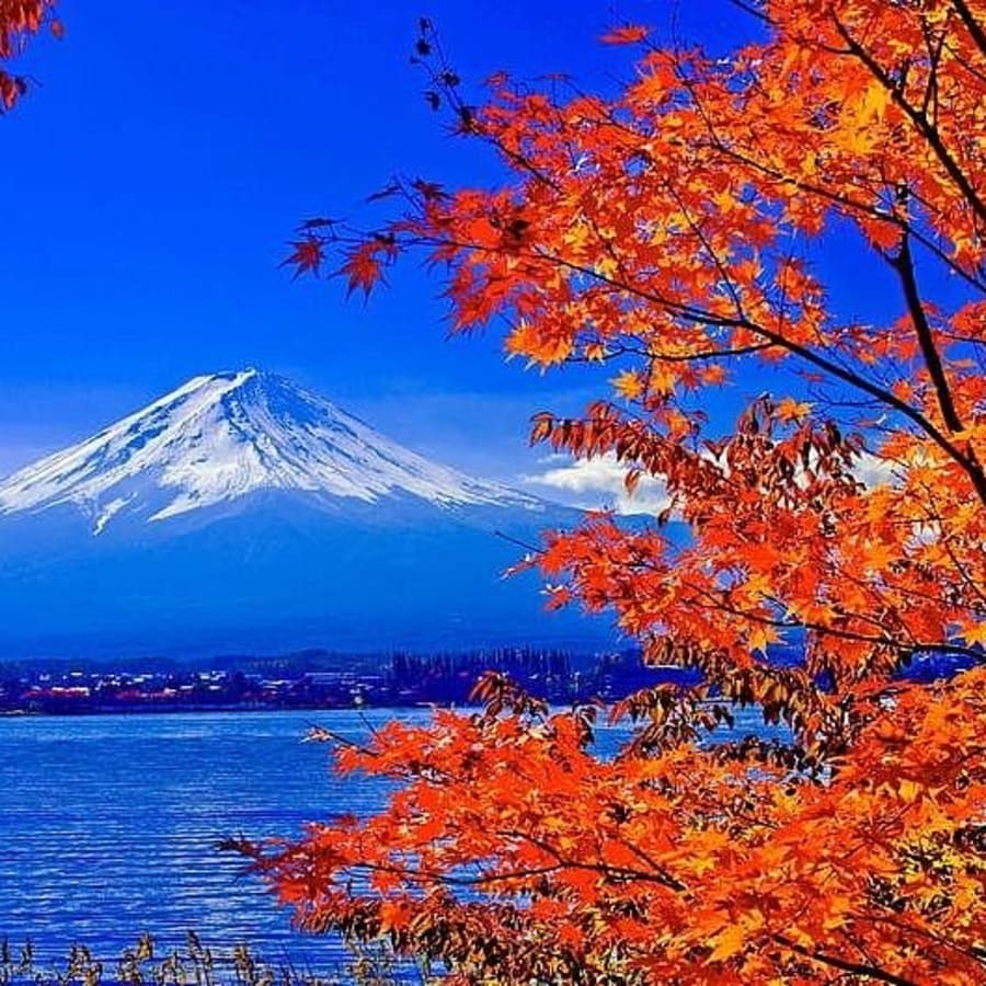 1-Day Private Mount Fuji Tour from Tokyo with Multilingual Guide