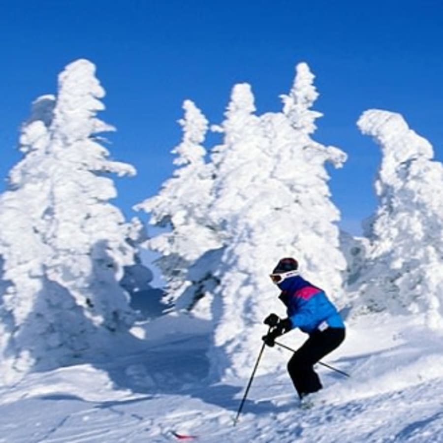 6-Day Shimla and Manali Tour from Chandigarh with Solang Valley