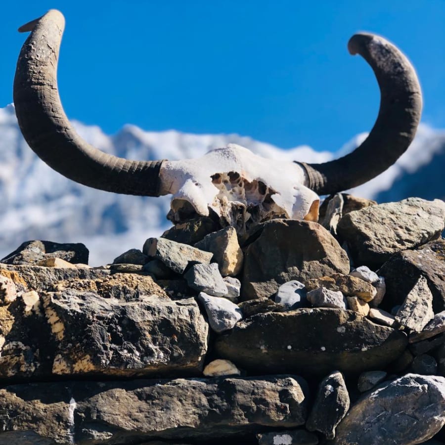 16-Day Annapurna Circuit Trek in Nepal via Thorong La Pass