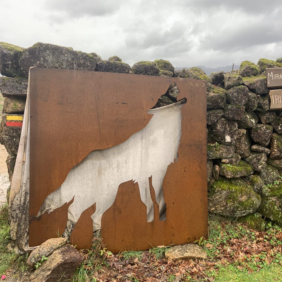 8-Hour Peneda-Gerês National Park Tour from Guimarães with Fafião