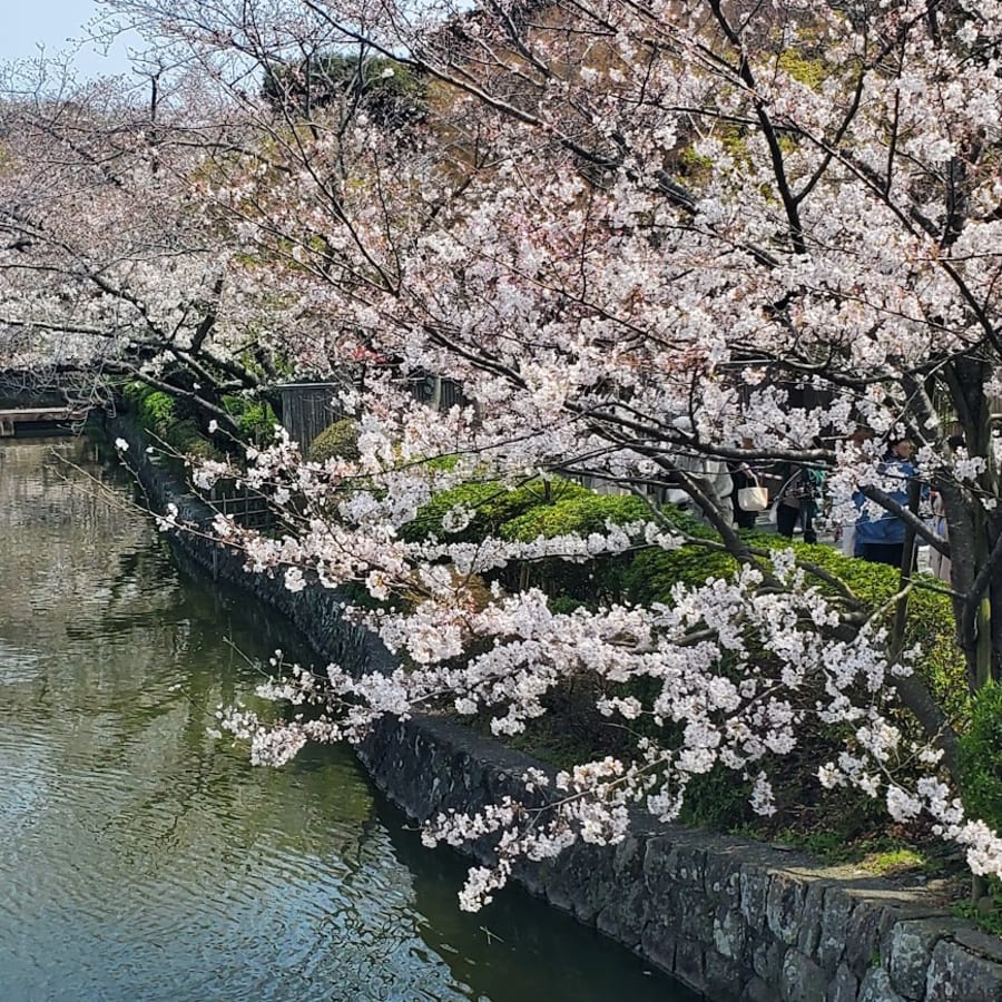 4-Hour Kamakura Temple Tour with Samurai History and Shogunate Insights