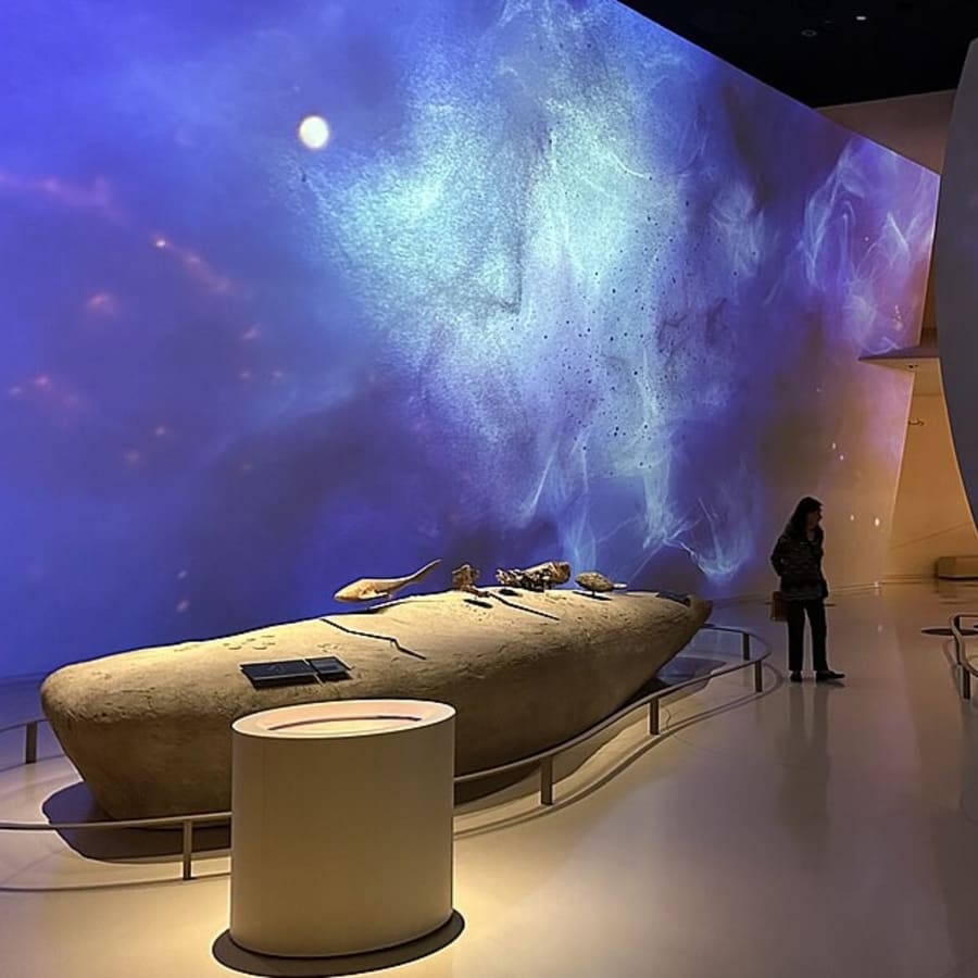 8-Hour Doha Museum Tour with Islamic Art and Qatar Heritage