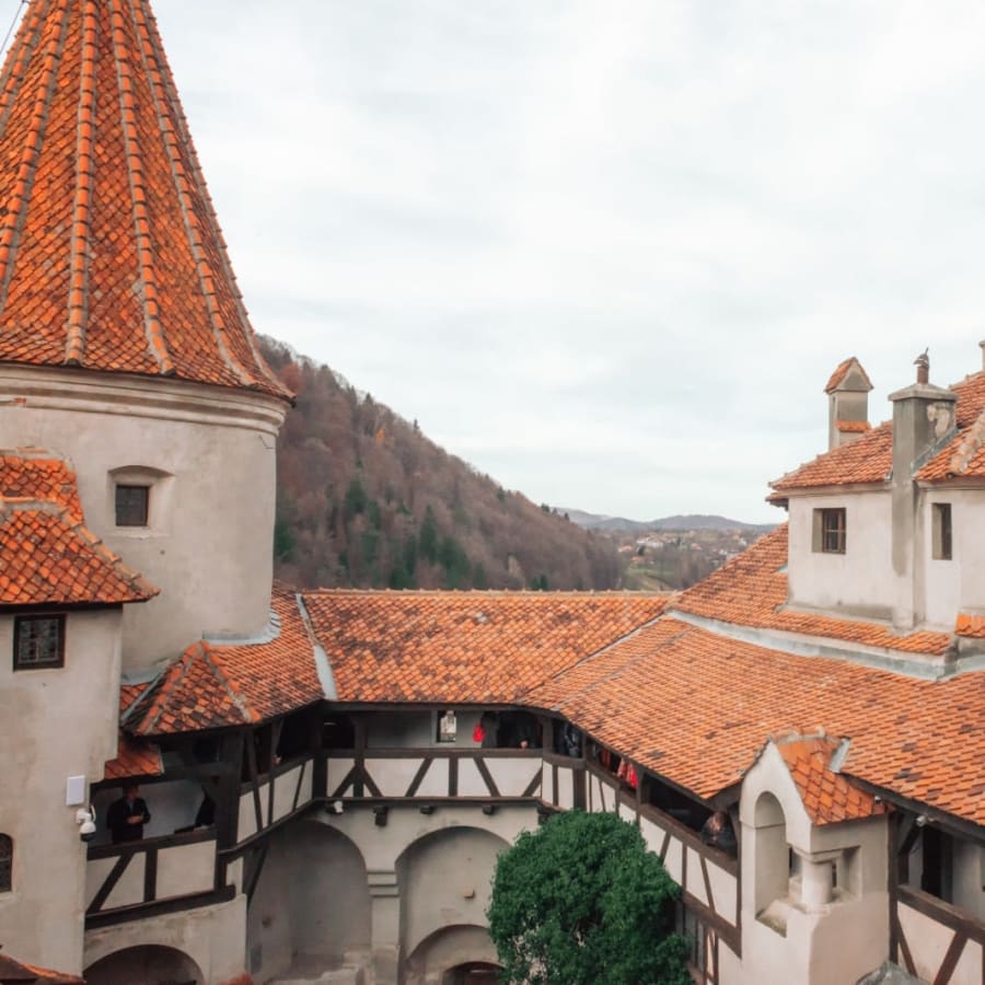 11-Hour Transylvania Castle Tour with Peleș and Bran Castle