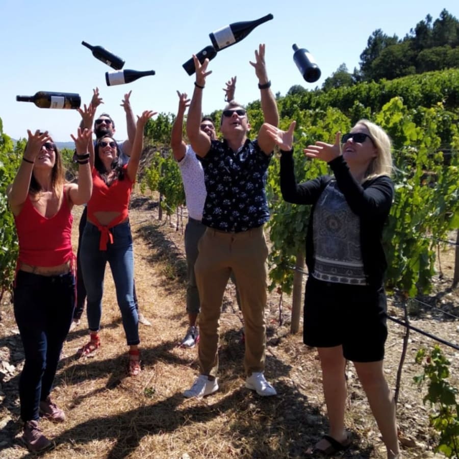 9-Hour Douro Valley Wine Tour from Porto with Lunch and River Cruise