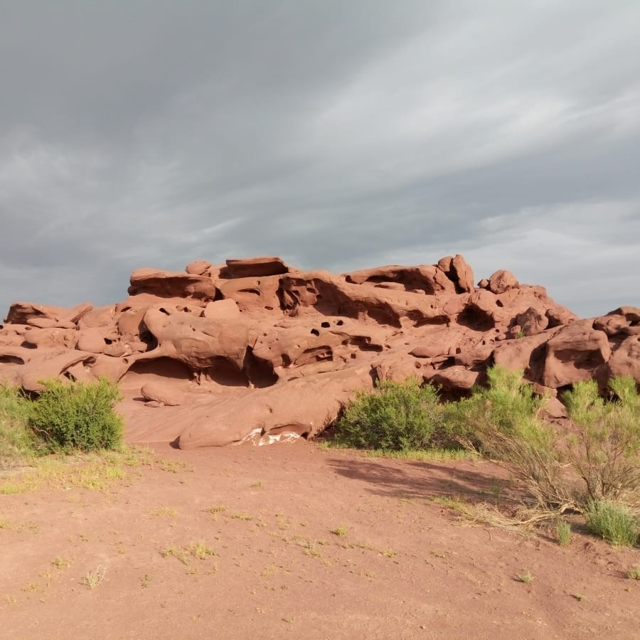 2-Day Safari Tour of Almaty and Altyn Emel National Park