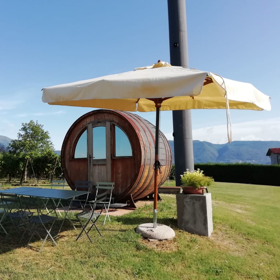 1-Day Prosecco Hills Wine Tour from Venice with 2 Cellar Tastings