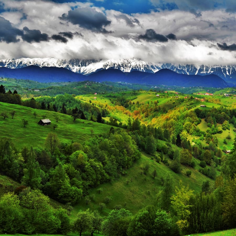 14-Day Romania Heritage Tour with Maramureș and Danube Delta