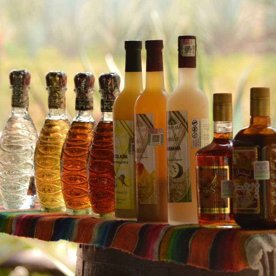 3-Hour Cozumel City Walking Tour with Tequila Tasting and Lunch