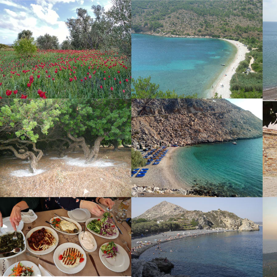 6-Hour Private Chios Island Tour with Medieval Villages and Mastic