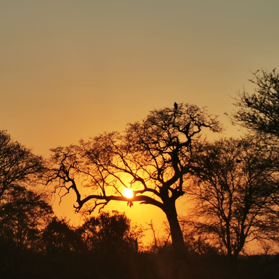 3-Day Kruger National Park Game Drive from Johannesburg or Pretoria