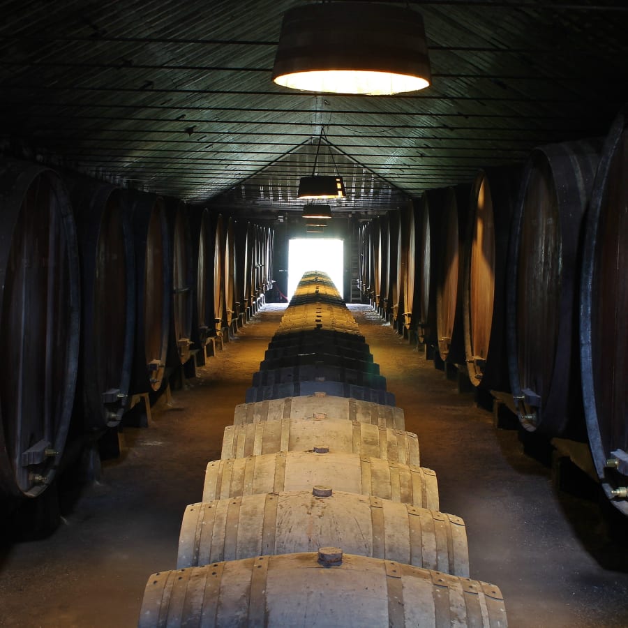 6-Hour Private Setúbal Wine Tasting Tour from Lisbon with Arrábida
