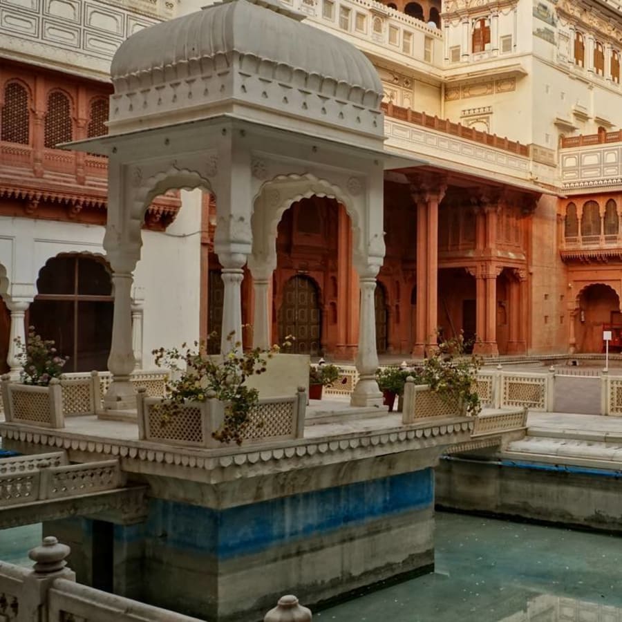12-Day Gujarat Tribal, Wildlife and Cultural Tour from Ahmedabad