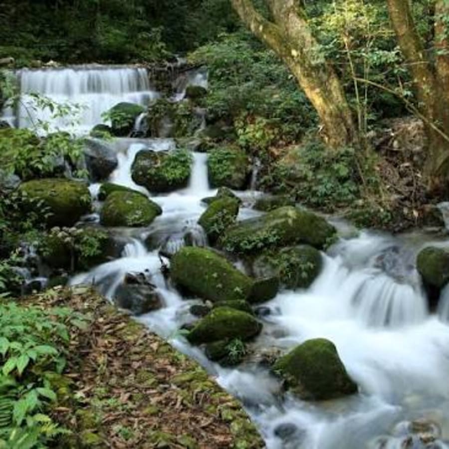 1-Day Kirtipur Chobhar and Bungamati Hike with Newari Heritage