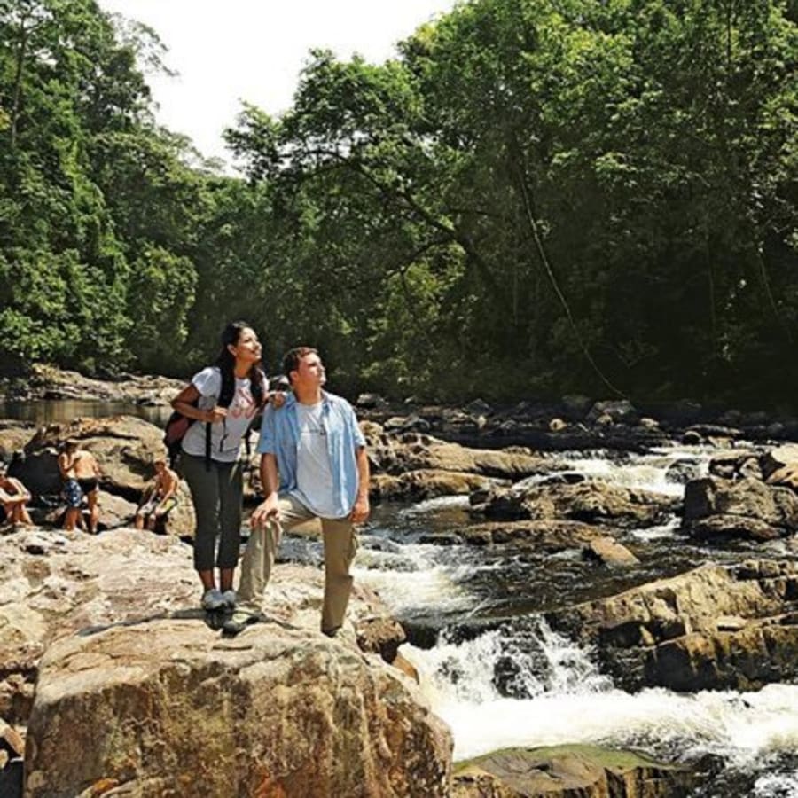 12-Hour Taman Negara National Park Tour with Canopy Walk and Rapids