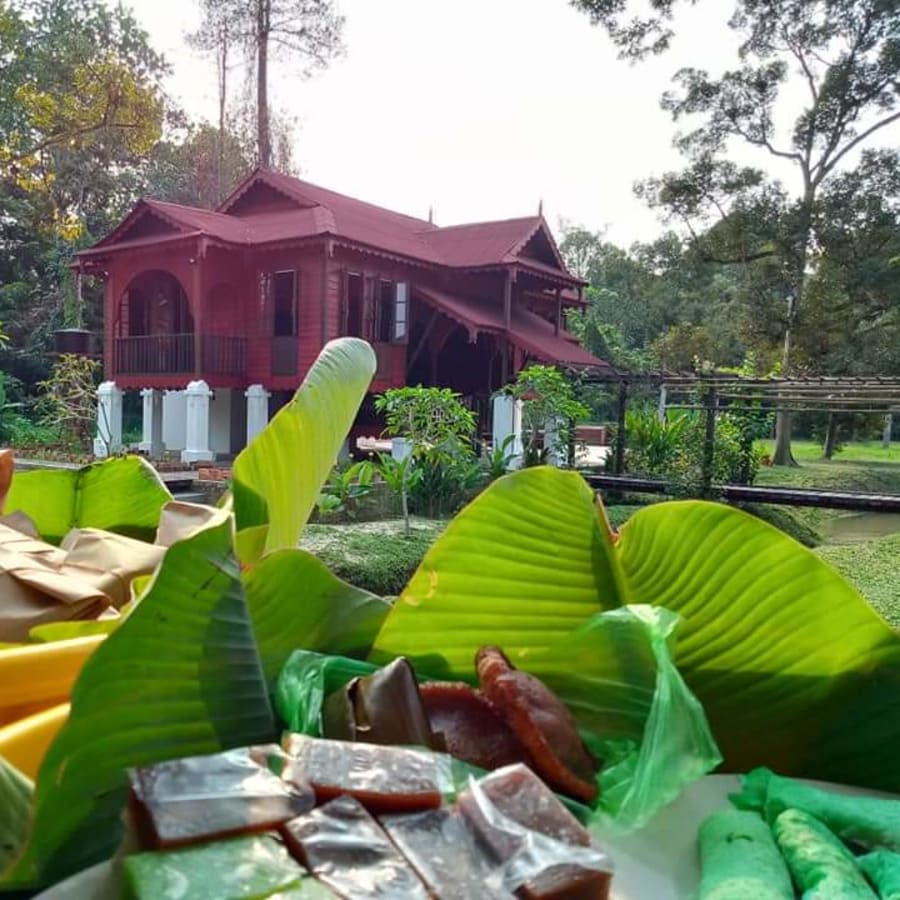 3-Day Cameron Highlands Nature Tour with Camping from Ipoh