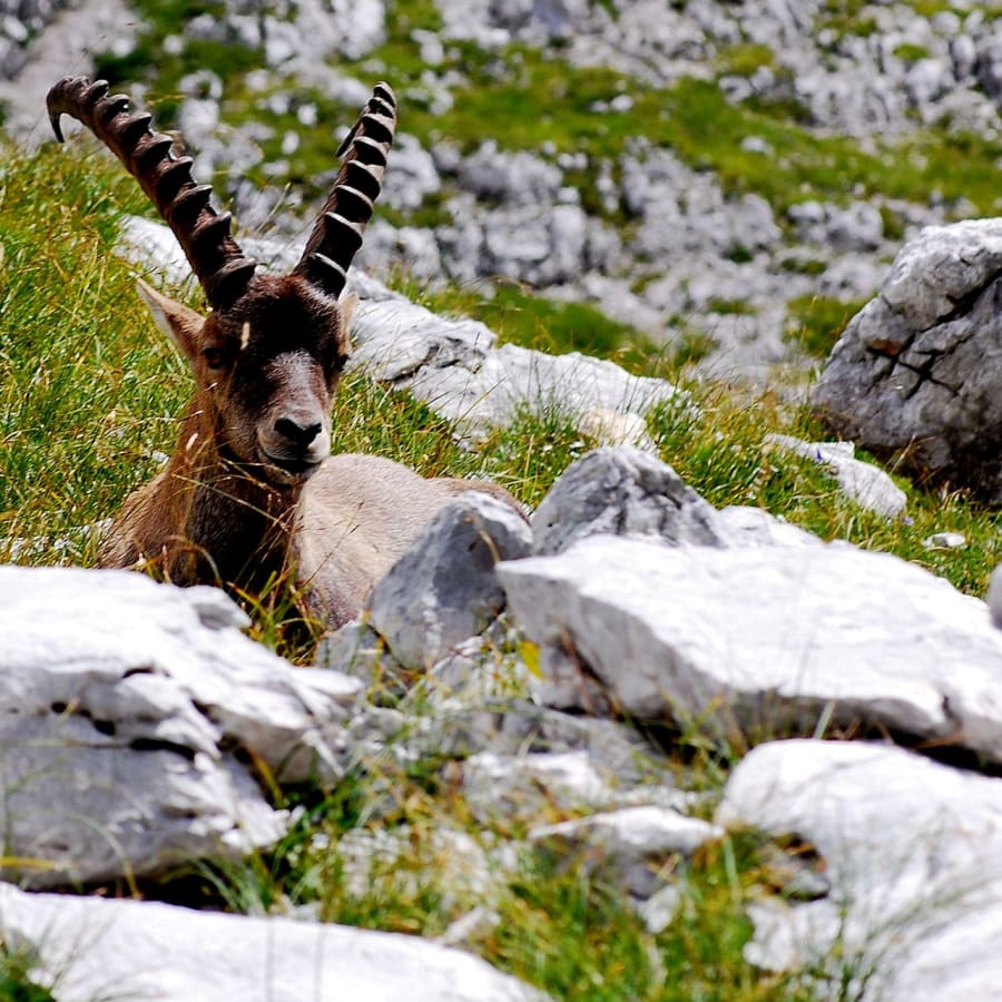 7-Day Slovenia and Croatia Tour from Julian Alps to the Adriatic