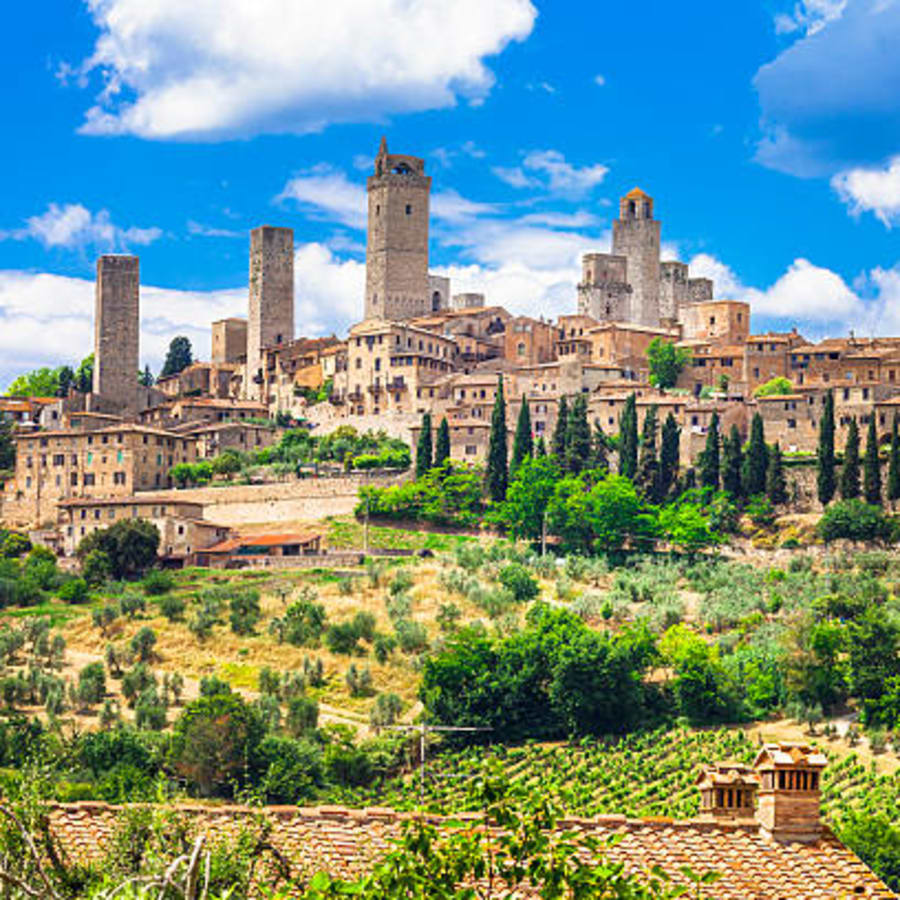 2-Hour San Gimignano Walking Tour with Cathedral and Wine Museum