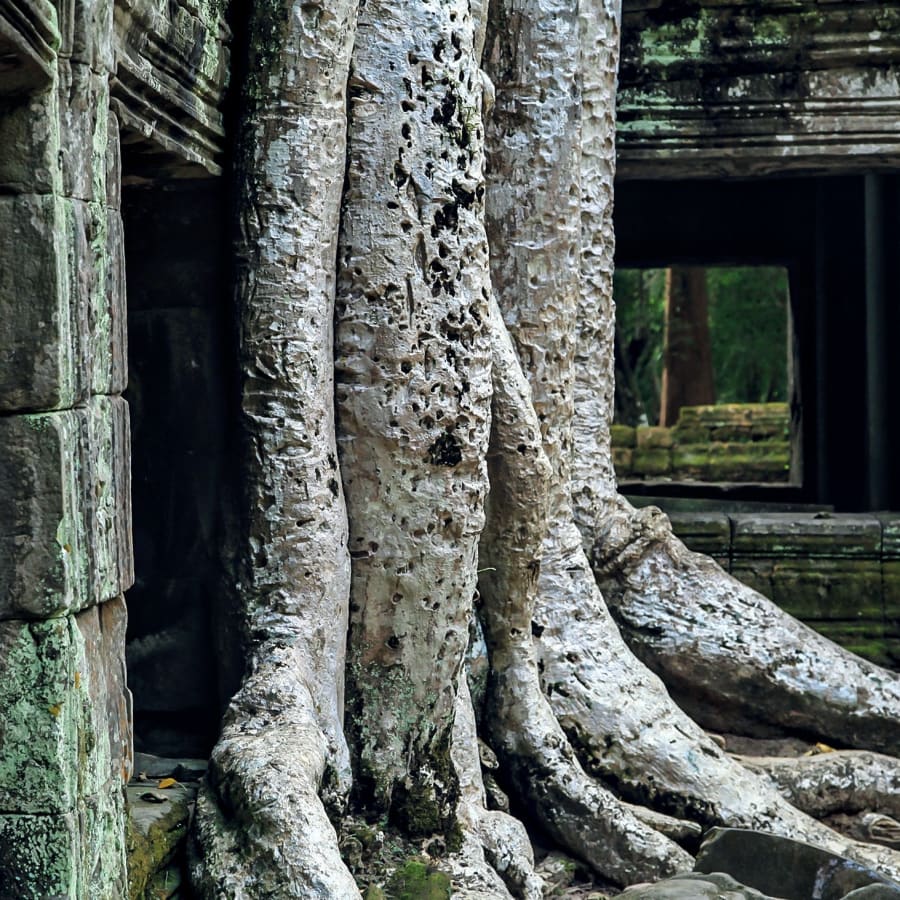 4-Day Angkor Complex Tour in Siem Reap with Beng Mealea