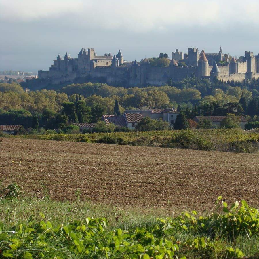 7-Hour Private Driving Tour of Carcassonne, Lastours and Albi
