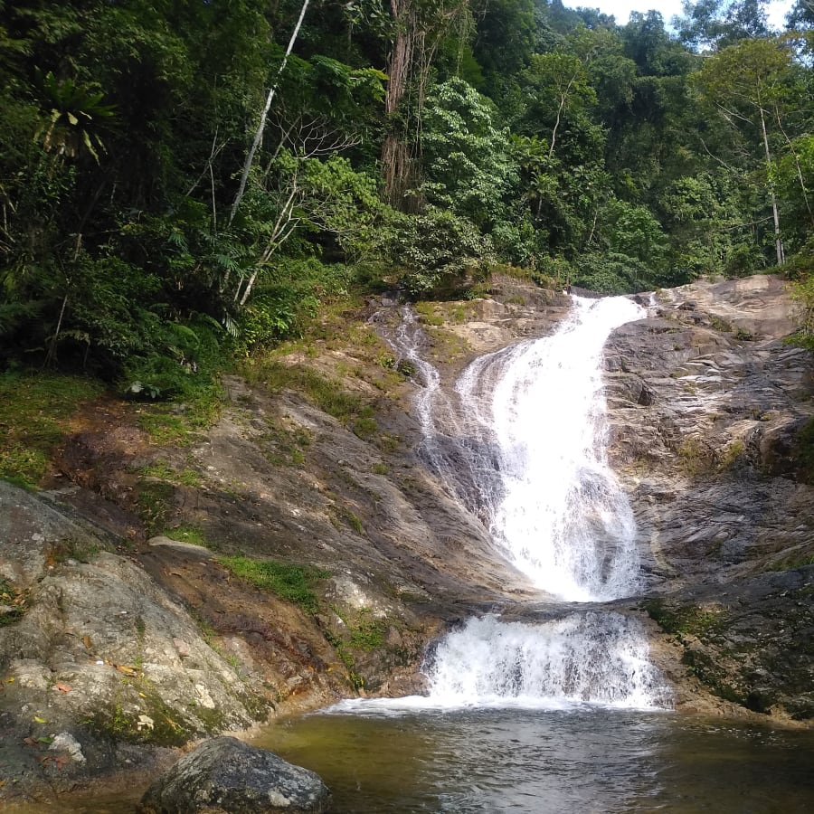12-Hour Cameron Highlands Tour with BOH Tea Plantation and Kea Farm