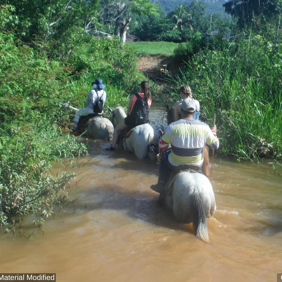 11-Day South Brazil Tour with Iguazu Falls, Rio and Colonial Towns