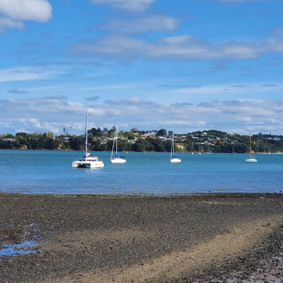 5-Hour East Auckland Tour with Howick Village and Half Moon Bay