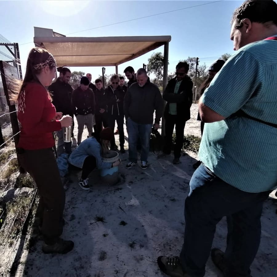 3-Day Wildlife and Wine Tour of Hermanus, Gansbaai and Grabouw