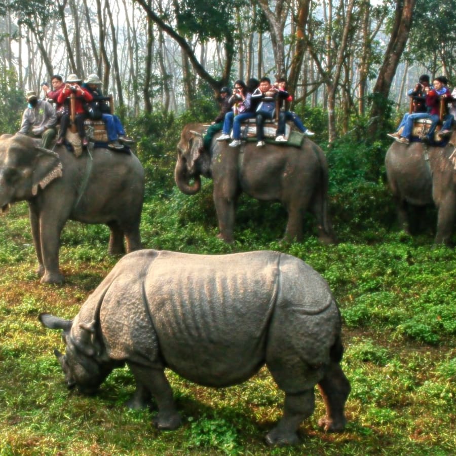 7-Day Kathmandu, Pokhara and Chitwan Tour with Jungle Safari