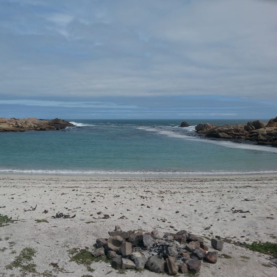 Full-Day Flower Tour in West Coast National Park and Tienie Versfeld