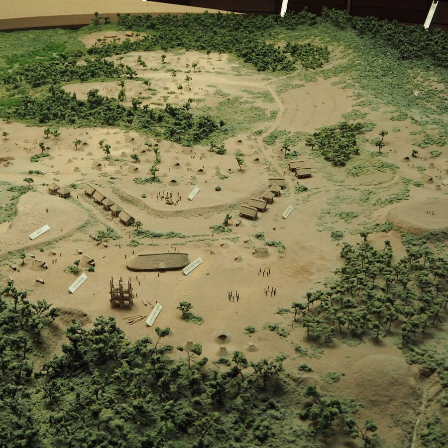 3-Hour Sannai-Maruyama Archaeological Tour with Sanmaru Museum