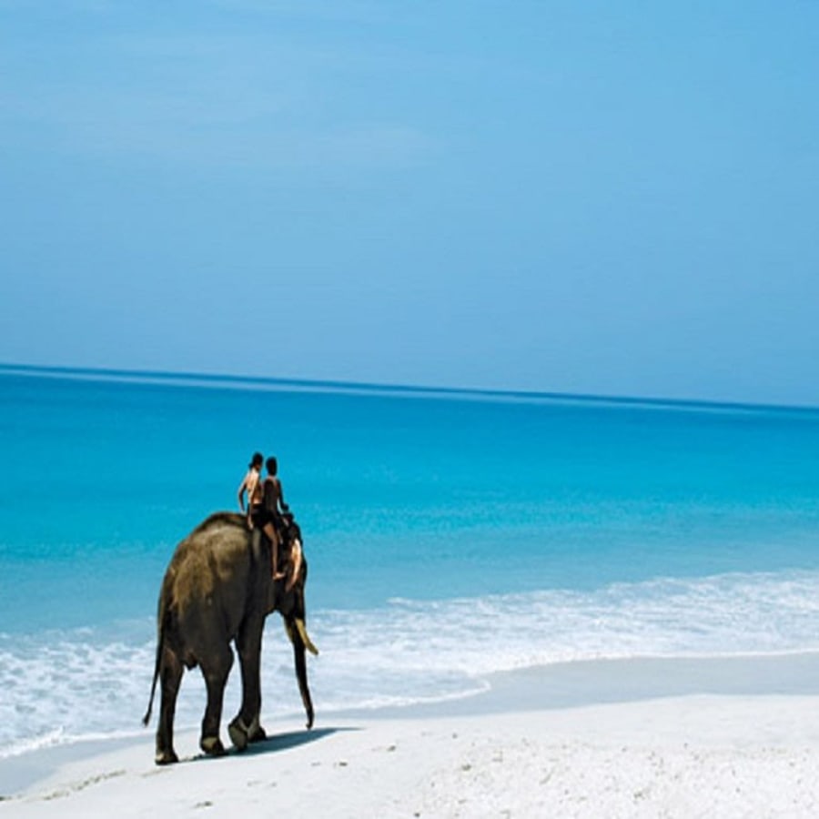 5-Day Andaman Islands Tour with Havelock Beaches and Cellular Jail