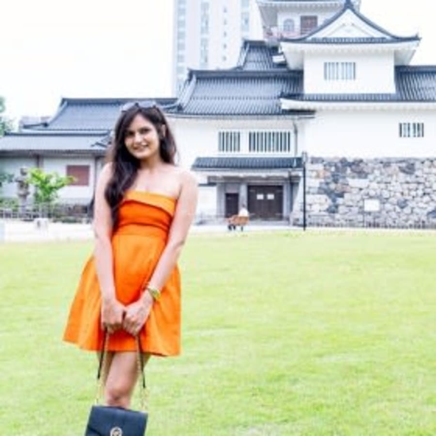 4-Hour Toyama City Tour with Museum Entry and Photographer