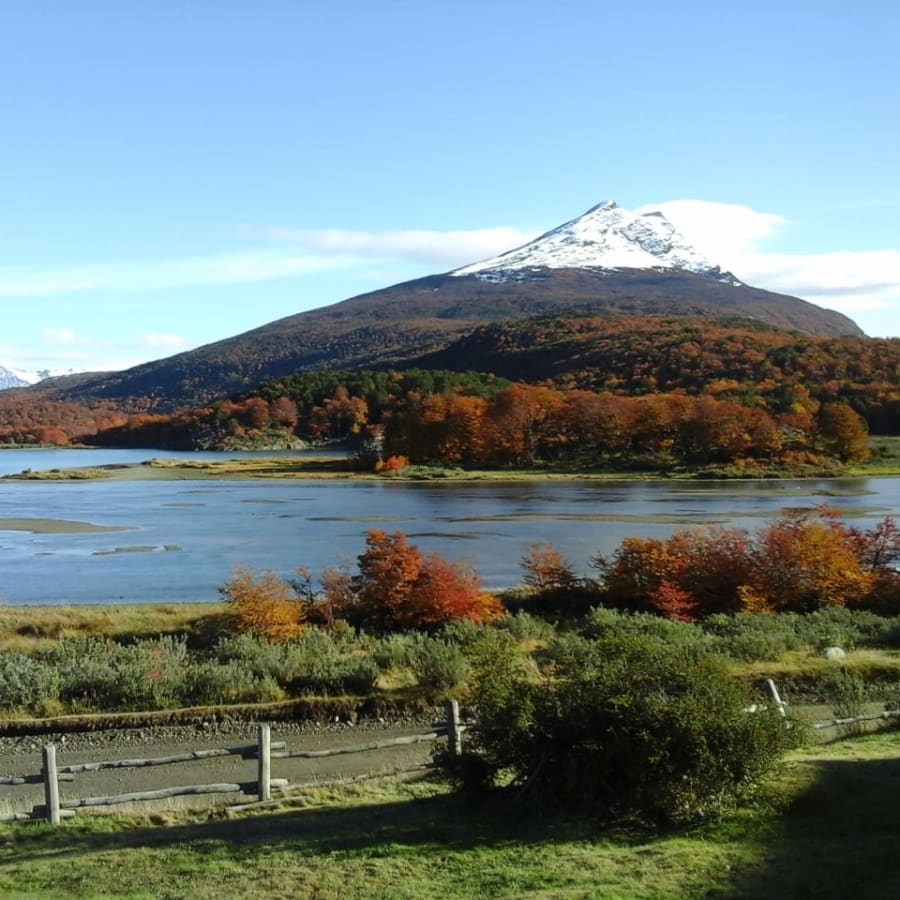 4-Hour Tierra del Fuego National Park Tour with Lago Roca Walk