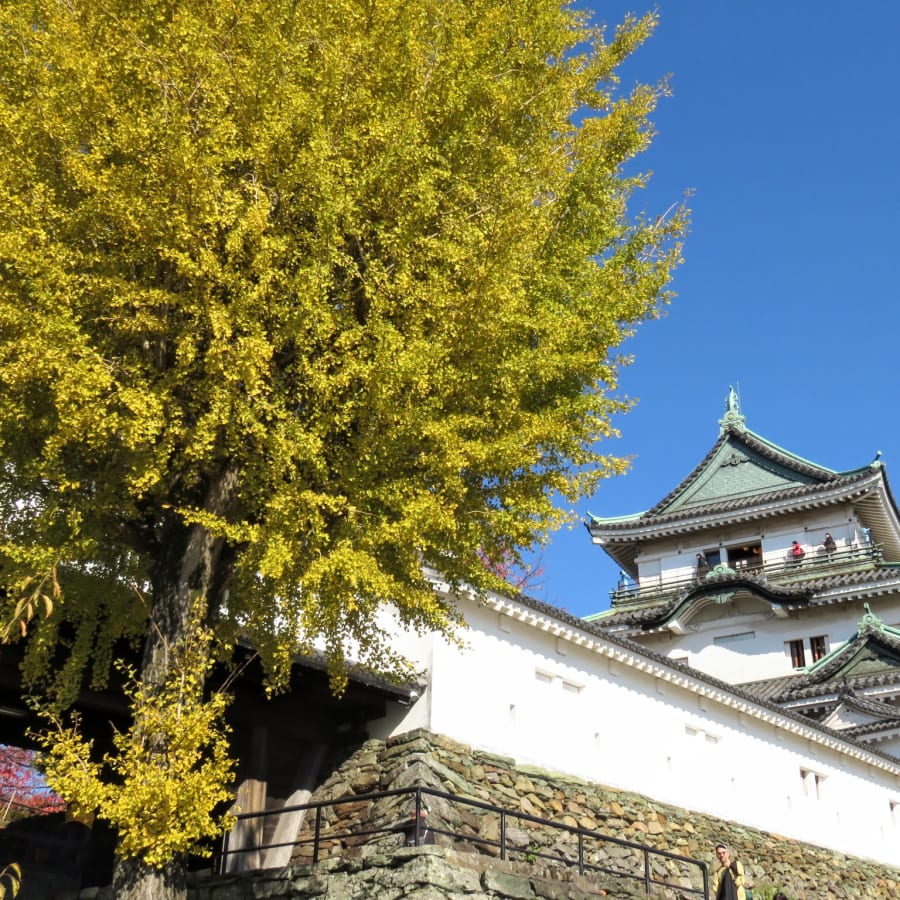 5-Hour Wakayama Castle Tour with Samurai Costume Experience